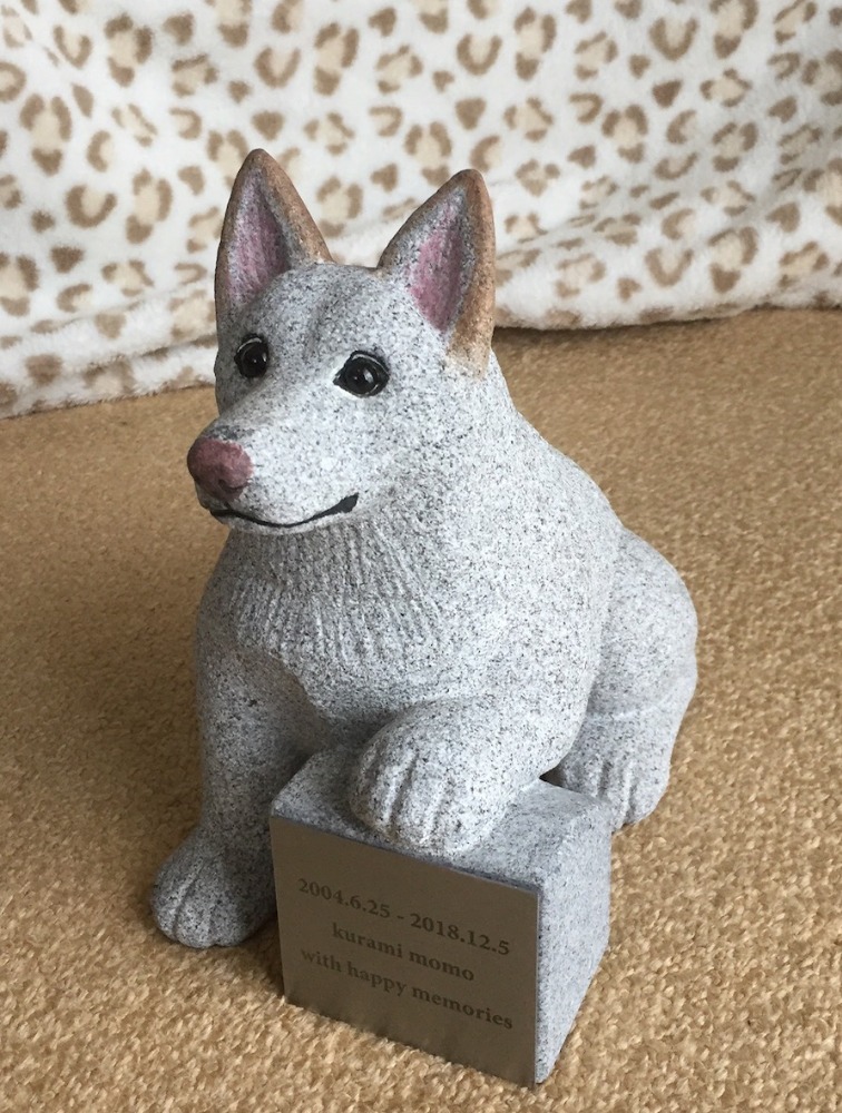 メッセージを手に